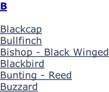 B  Blackcap Bullfinch Bishop - Black Winged Blackbird Bunting - Reed Buzzard