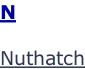 N  Nuthatch