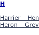H  Harrier - Hen Heron - Grey