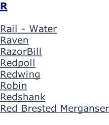 R  Rail - Water Raven RazorBill Redpoll Redwing Robin Redshank Red Brested Merganser