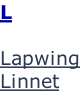 L  Lapwing Linnet