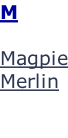M  Magpie Merlin