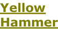 Yellow Hammer